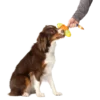 獨木舟毛絨拉力玩具